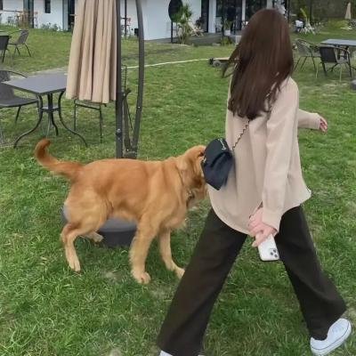 渴望城市2海报